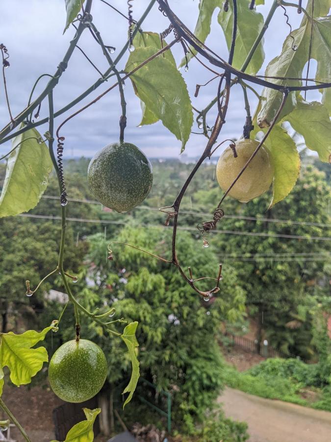 Namal Stay Weligama Kültér fotó
