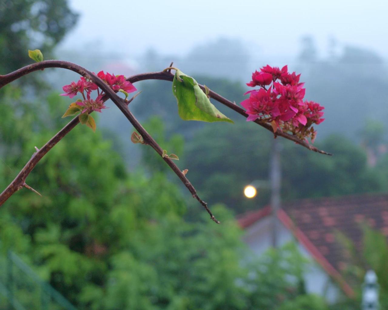 Namal Stay Weligama Kültér fotó